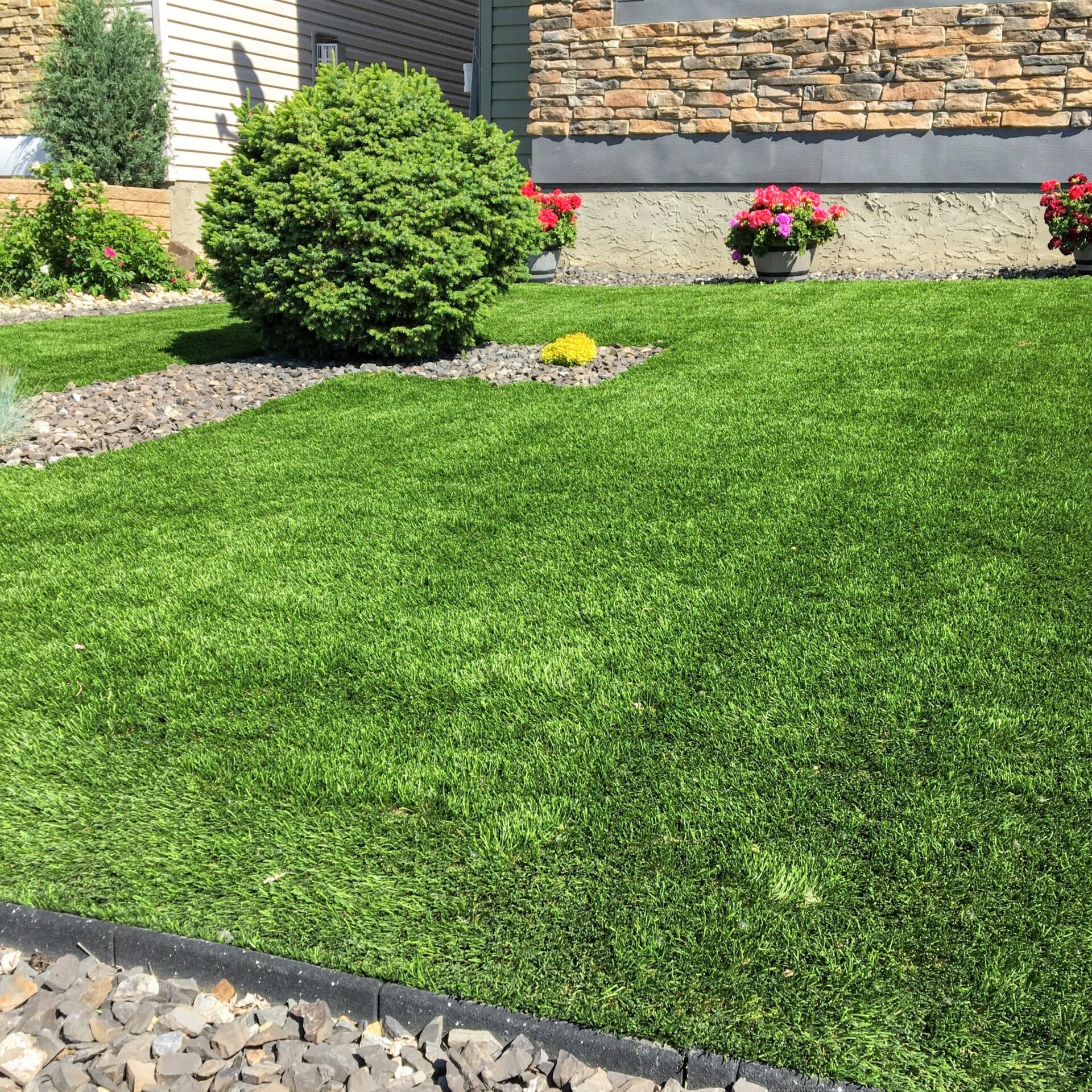 A beautiful artificial lawn in the front yard with nice flowers and shrubs surrounding it